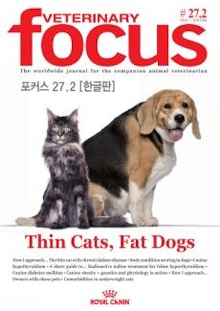 Thin Cats, Fat Dogs